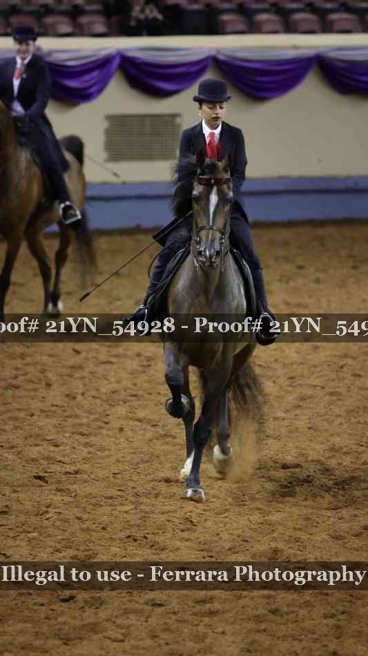 Proof 21YN_54928