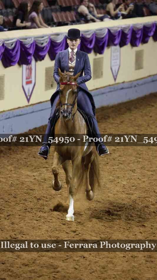 Proof 21YN_54950