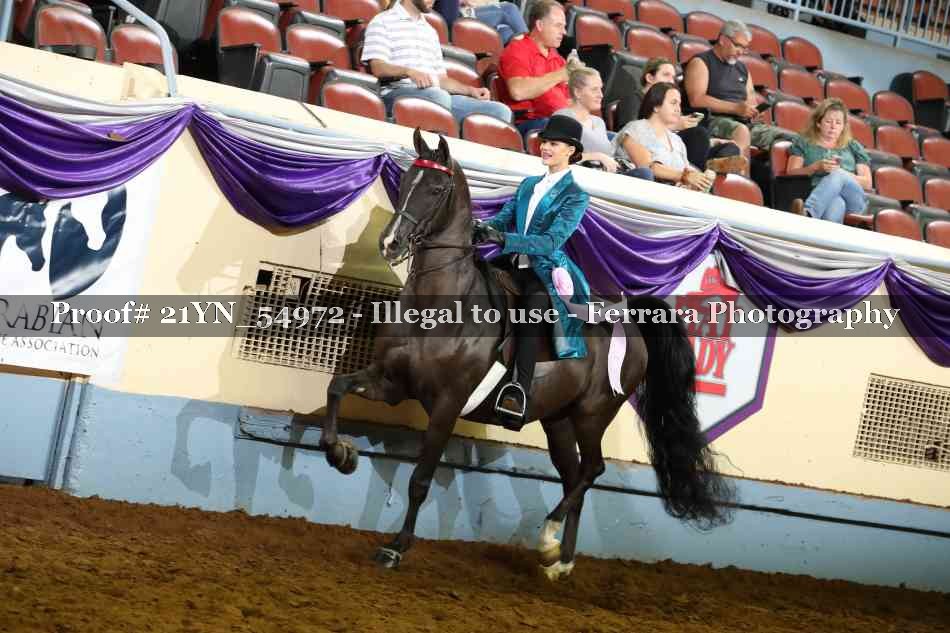 Proof 21YN_54972