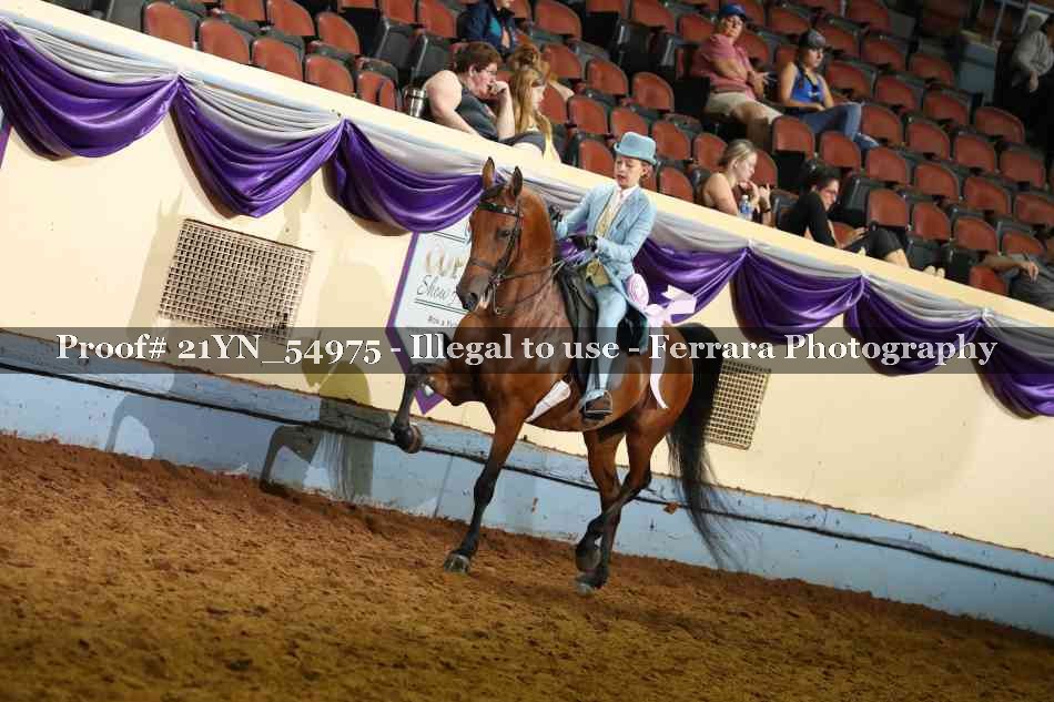 Proof 21YN_54975