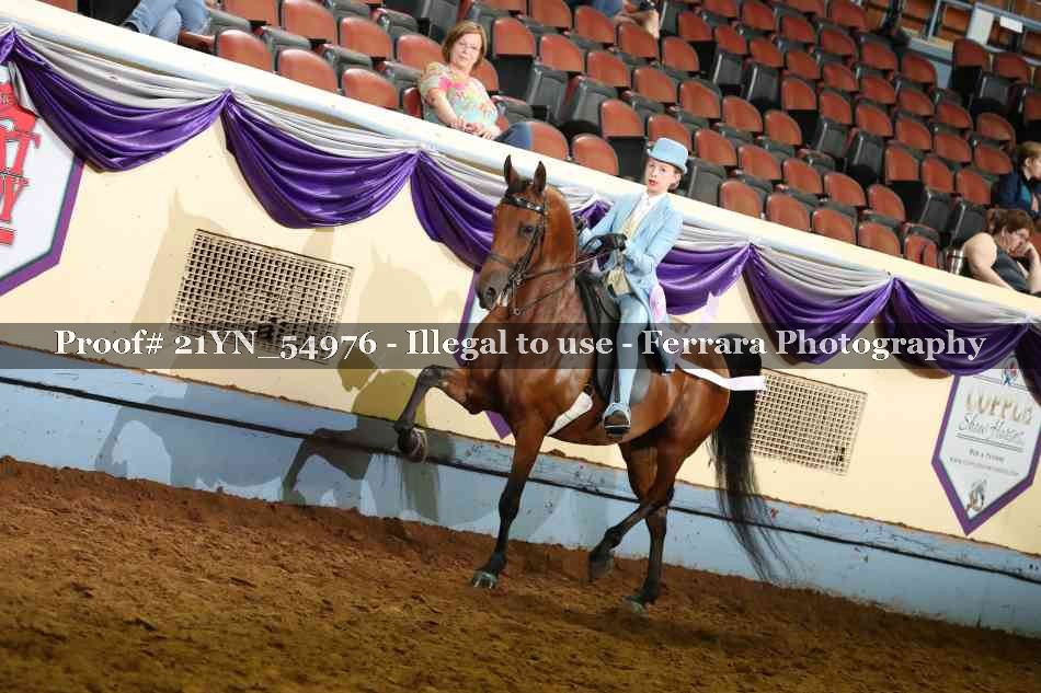 Proof 21YN_54976