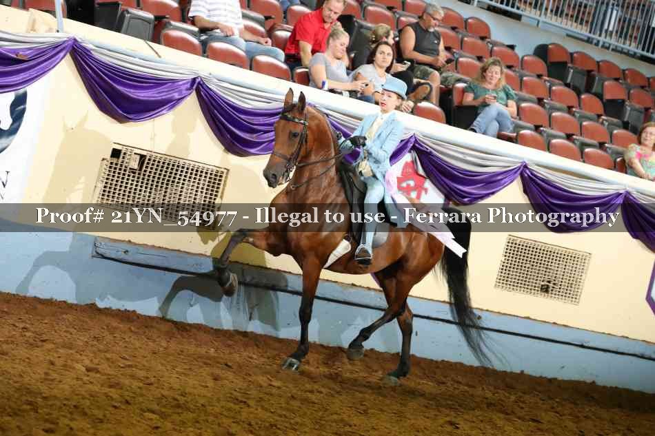 Proof 21YN_54977
