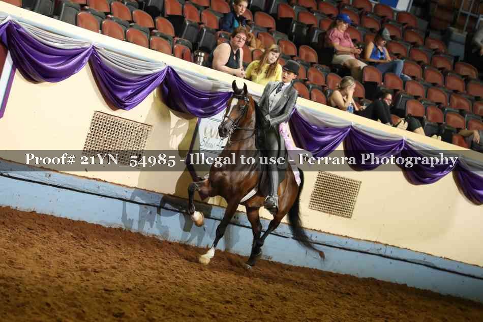 Proof 21YN_54985