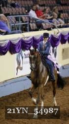 21YN_54987 proof