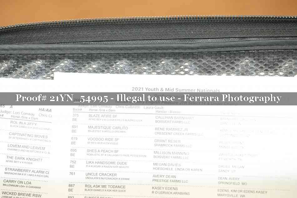 Proof 21YN_54995