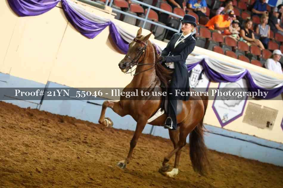 Proof 21YN_55046
