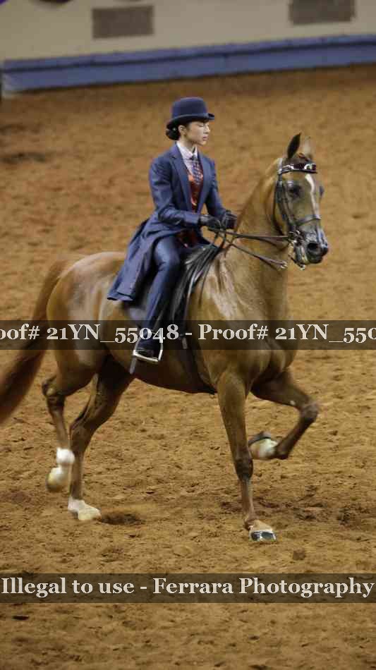 Proof 21YN_55048