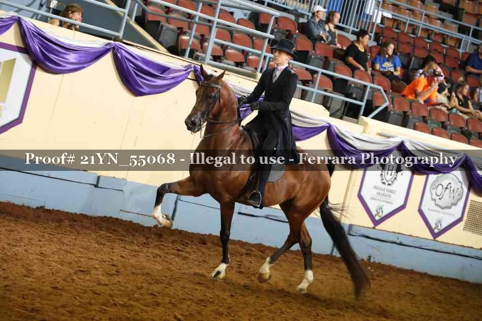 Proof 21YN_55068
