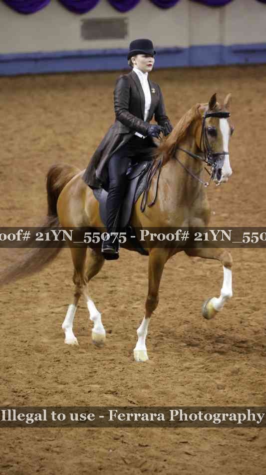 Proof 21YN_55075