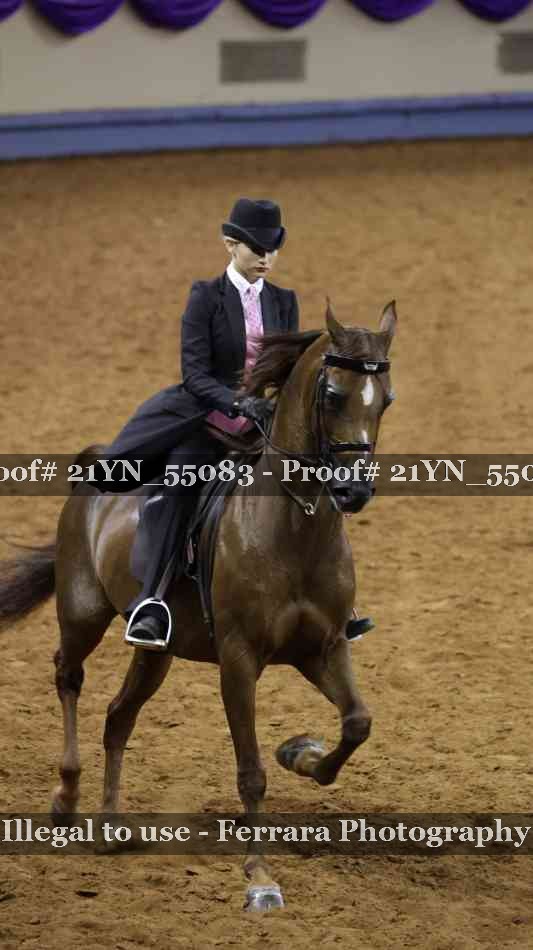 Proof 21YN_55083