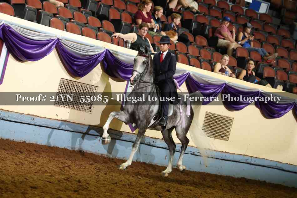Proof 21YN_55085