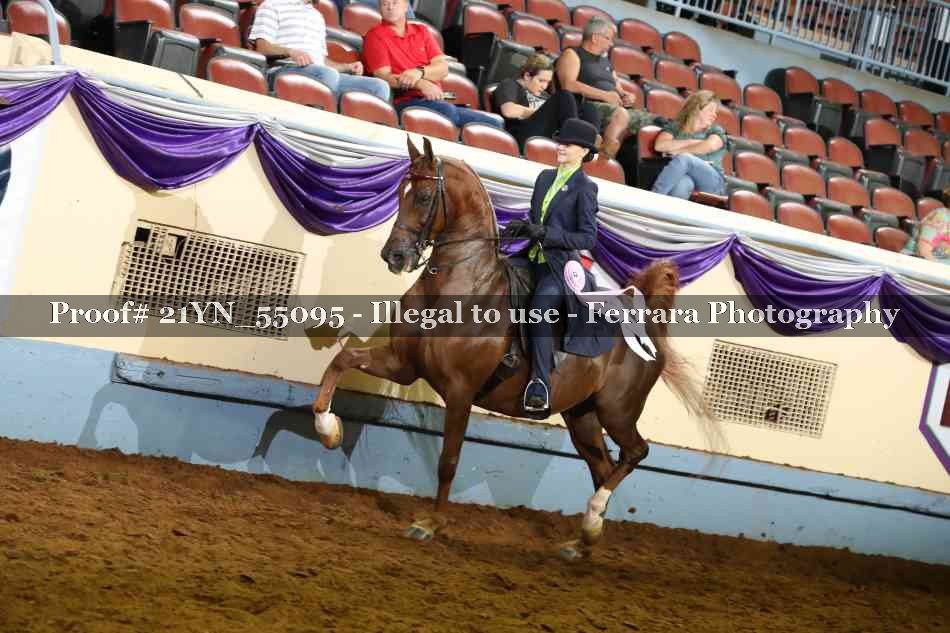 Proof 21YN_55095