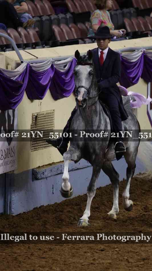 Proof 21YN_55101