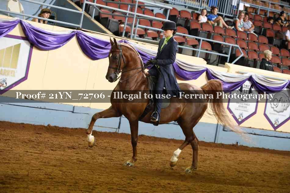 Proof 21YN_72706