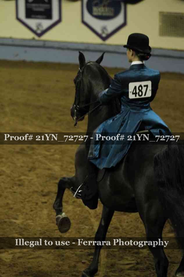 Proof 21YN_72727