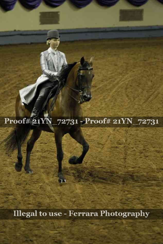 Proof 21YN_72731