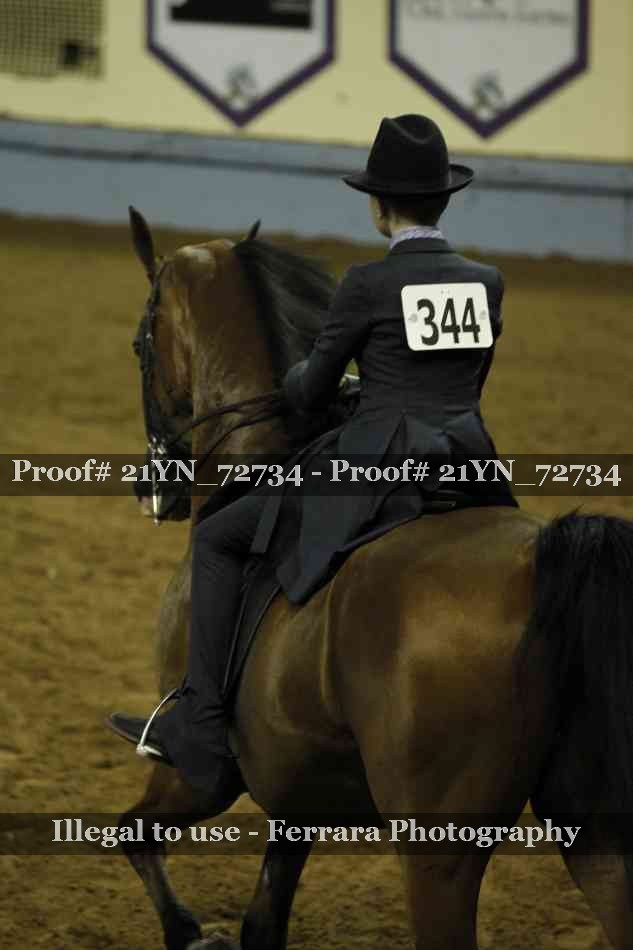 Proof 21YN_72734