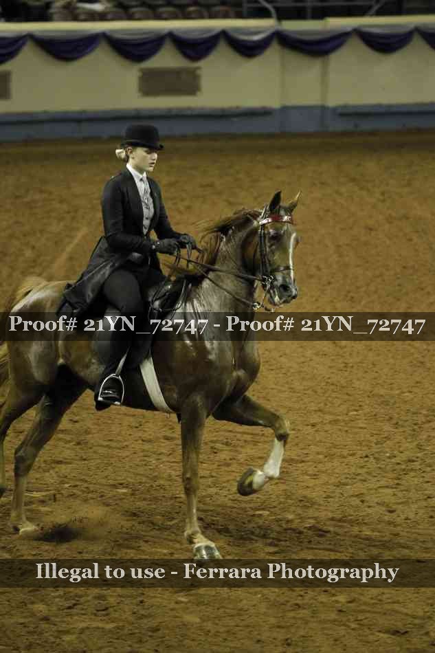 Proof 21YN_72747