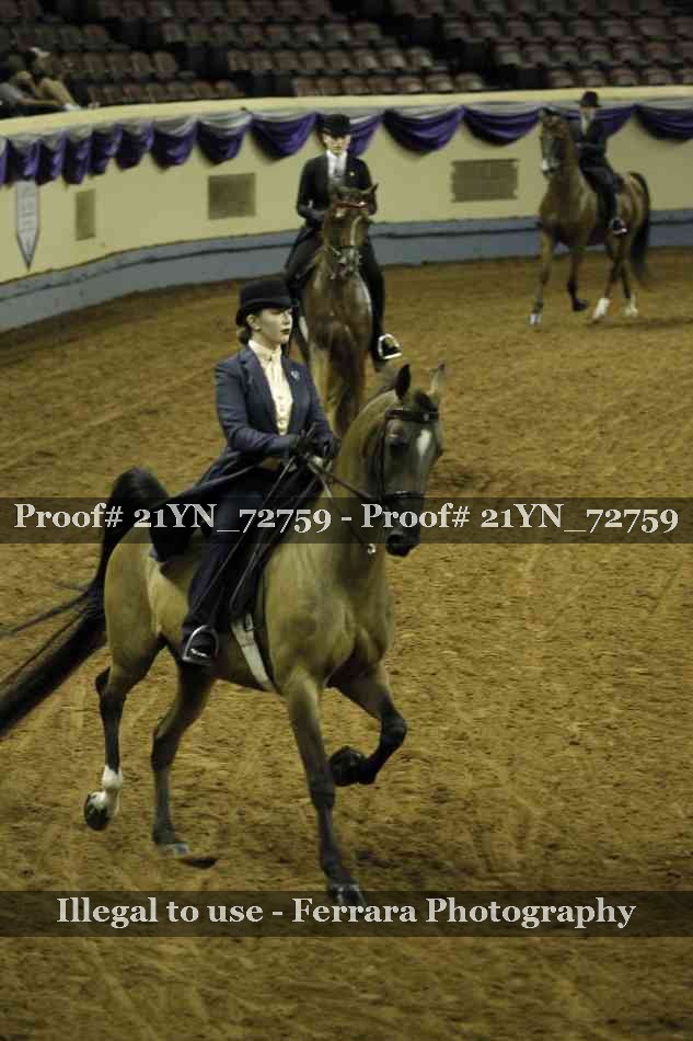 Proof 21YN_72759