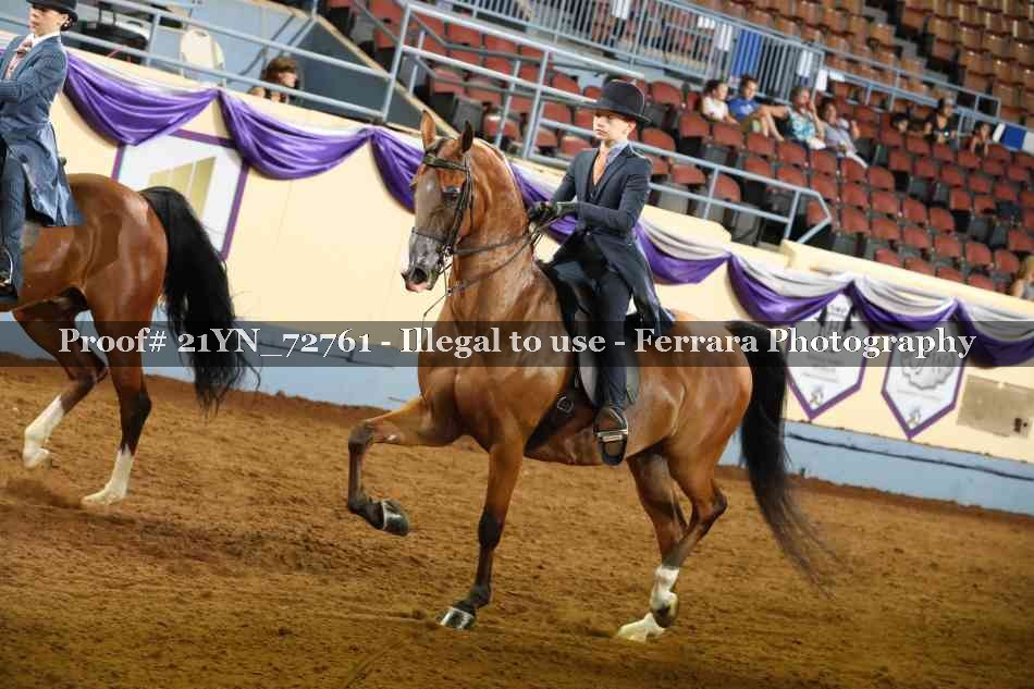 Proof 21YN_72761