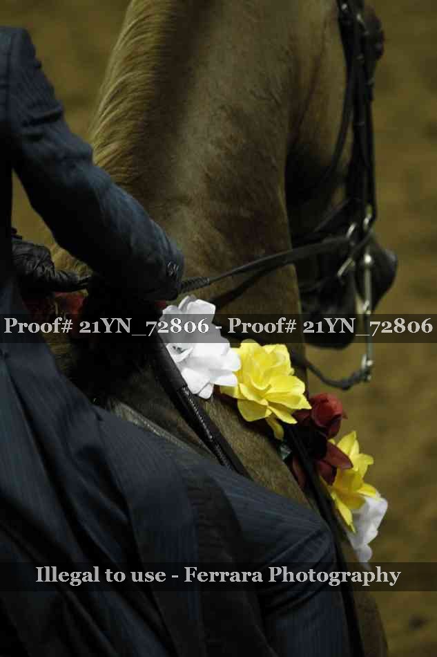 Proof 21YN_72806