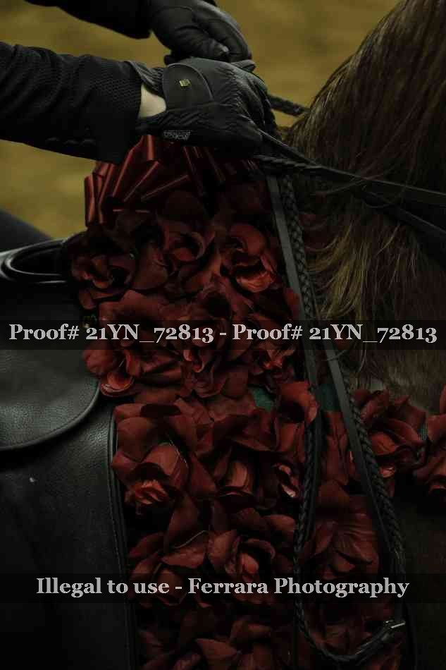 Proof 21YN_72813