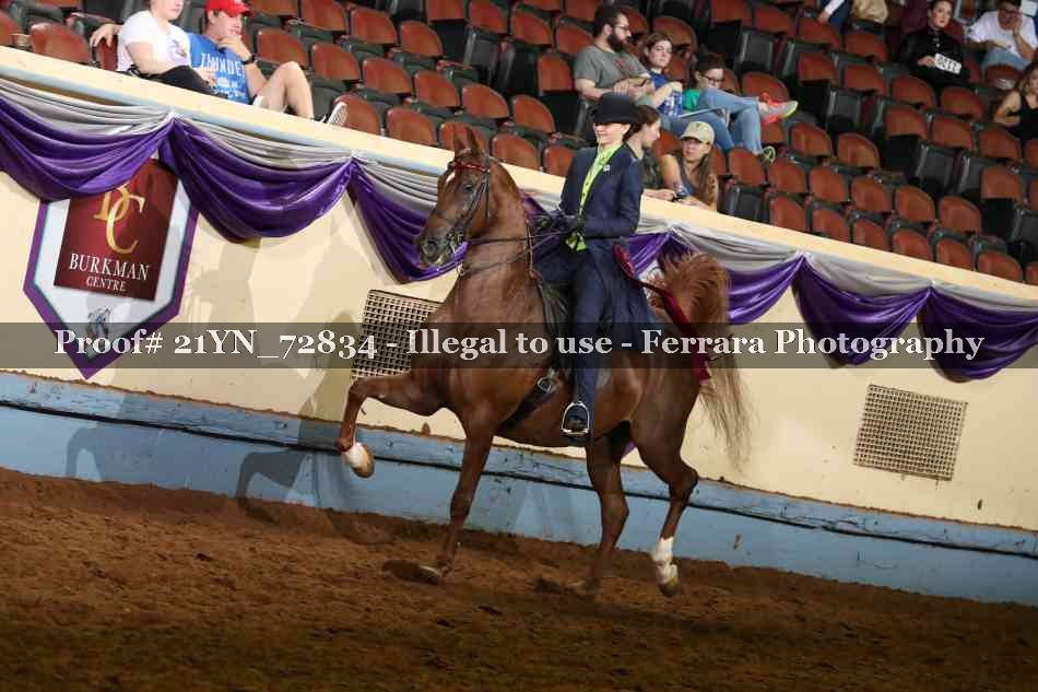 Proof 21YN_72834