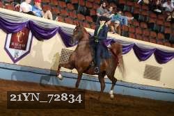 21YN_72834 proof