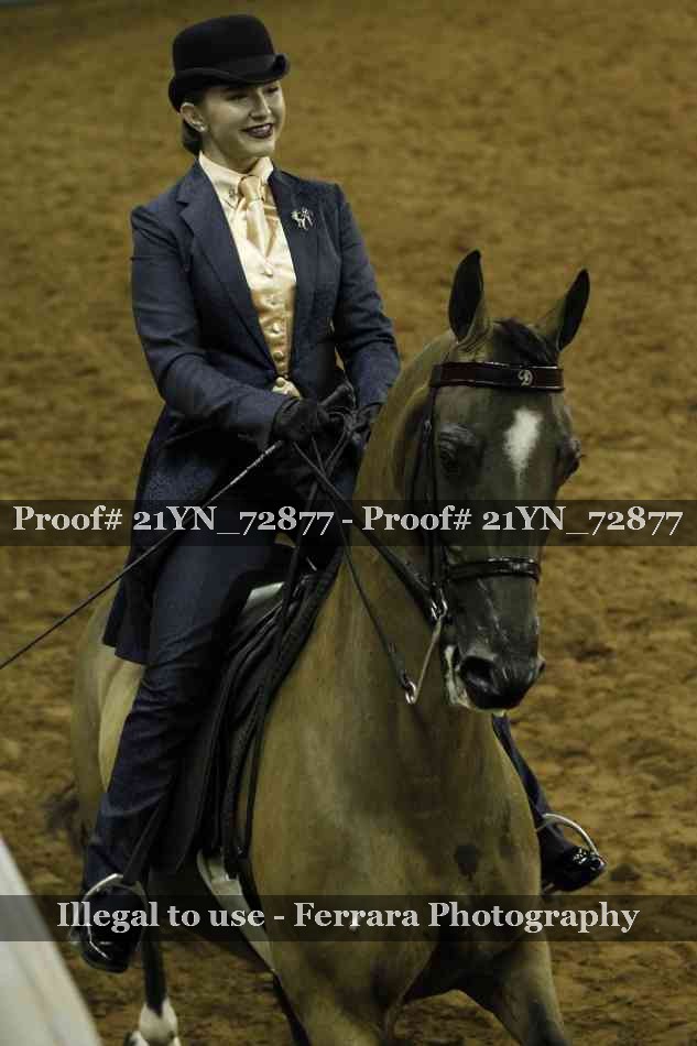 Proof 21YN_72877