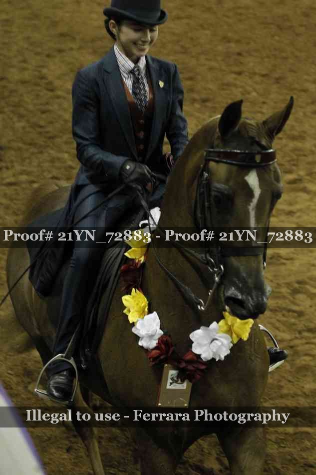 Proof 21YN_72883