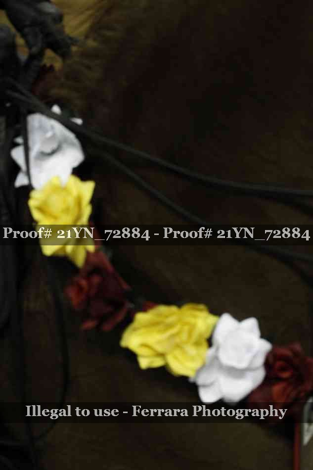 Proof 21YN_72884