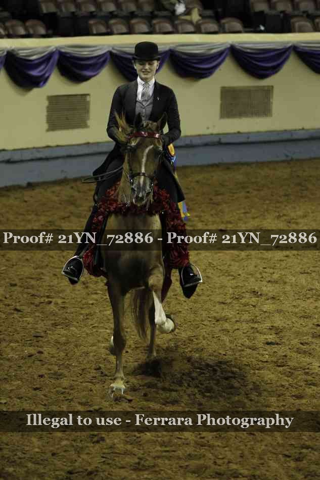 Proof 21YN_72886