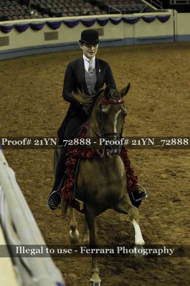 Proof 21YN_72888