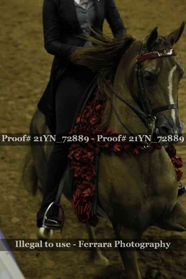 Proof 21YN_72889