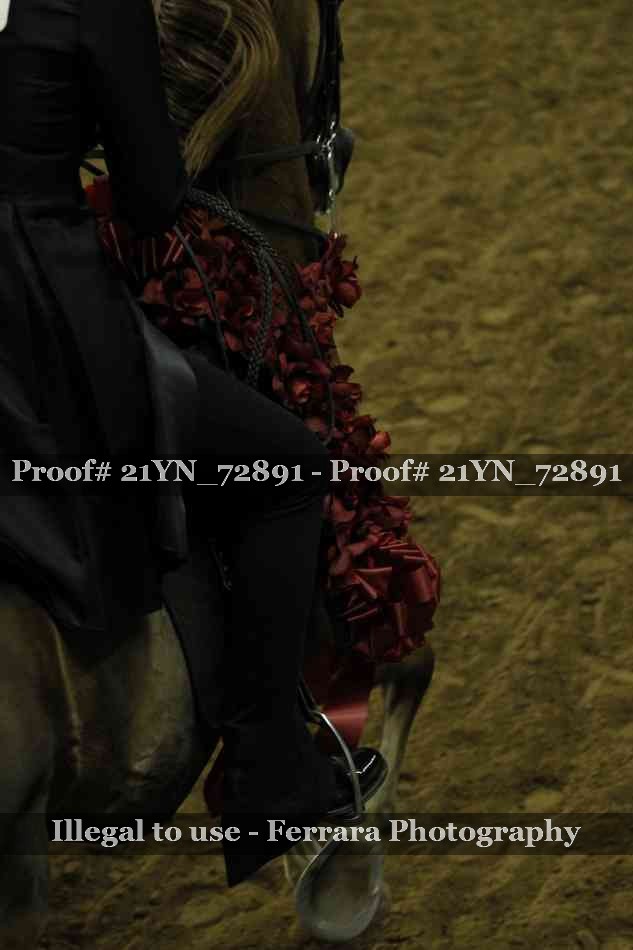 Proof 21YN_72891