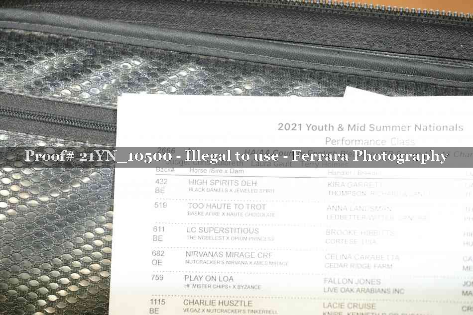 Proof 21YN_10500