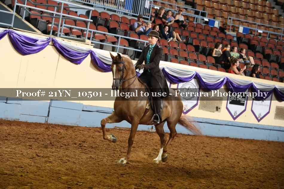 Proof 21YN_10501
