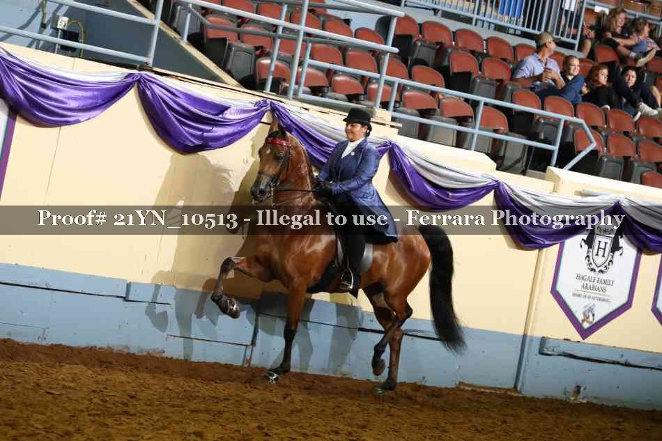 Proof 21YN_10513