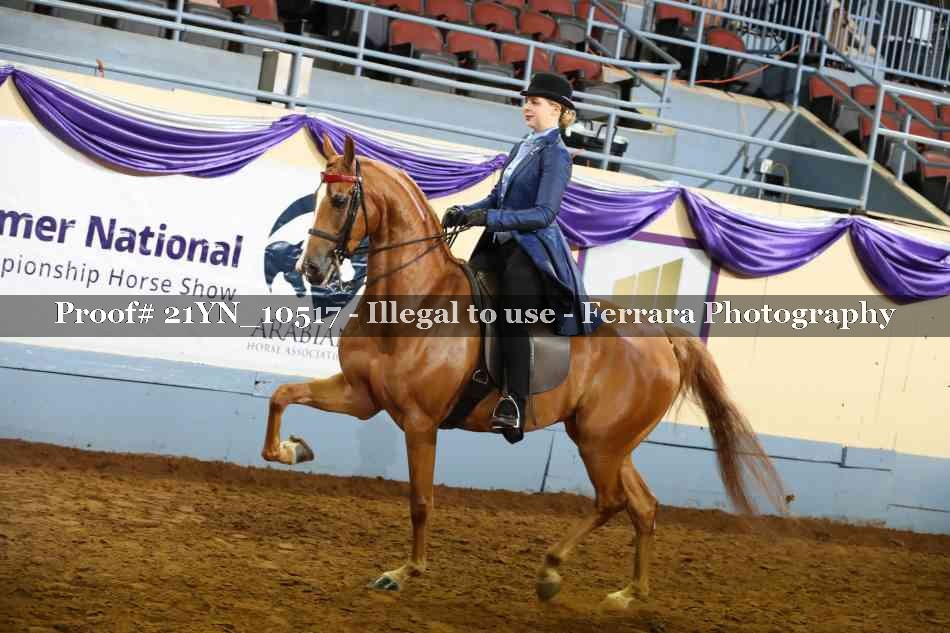Proof 21YN_10517