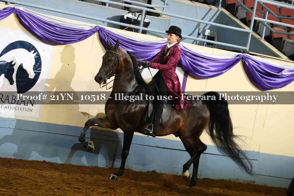 Proof 21YN_10518