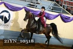 21YN_10518 proof
