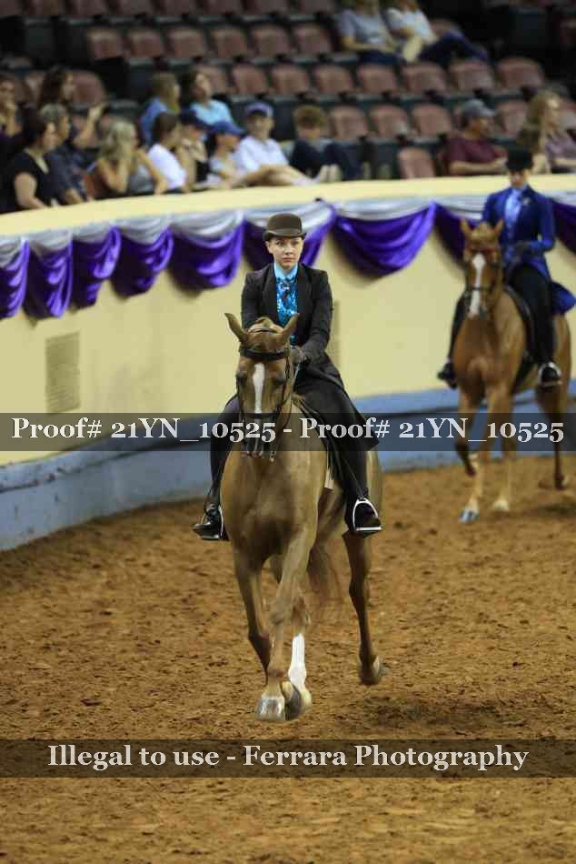 Proof 21YN_10525
