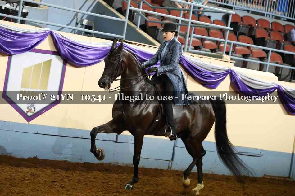 Proof 21YN_10541