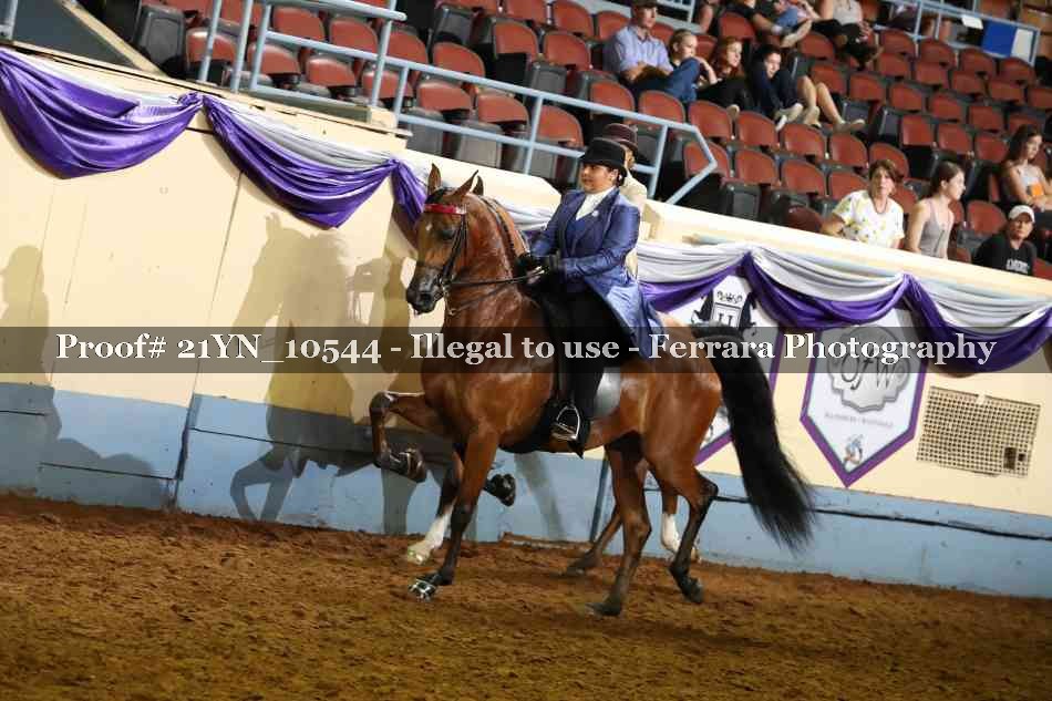 Proof 21YN_10544