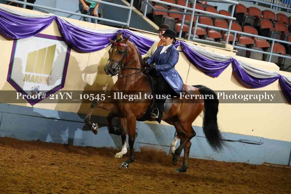 Proof 21YN_10545