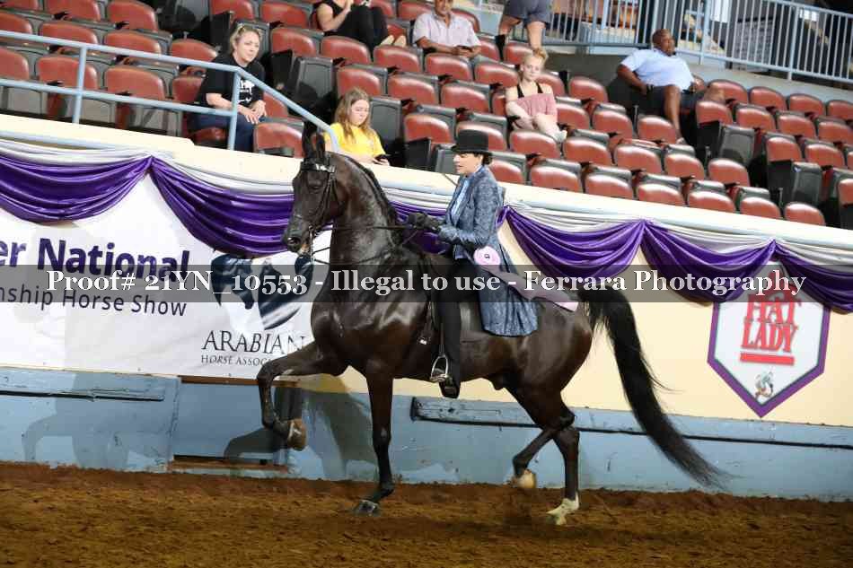 Proof 21YN_10553