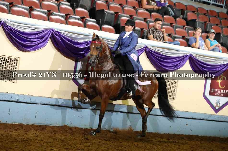 Proof 21YN_10556