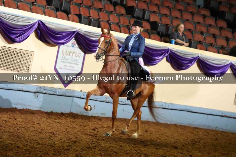 Proof 21YN_10559