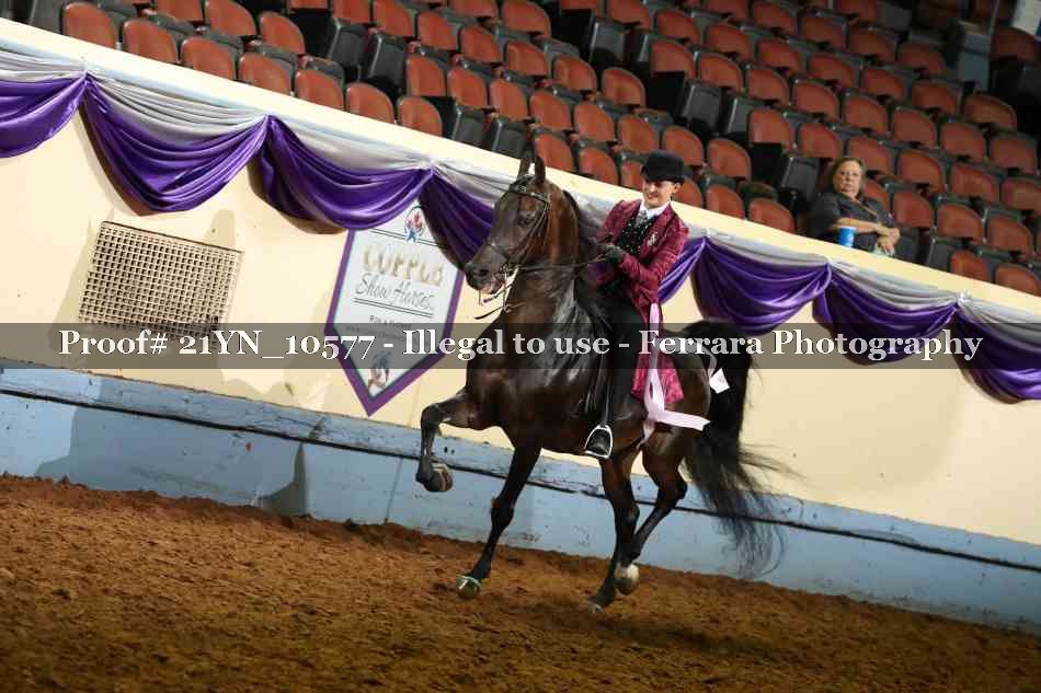 Proof 21YN_10577