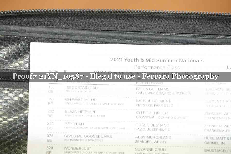 Proof 21YN_10587